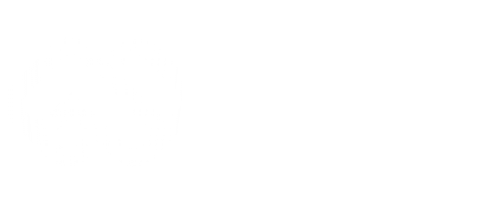 记忆张量(上海)科技有限公司